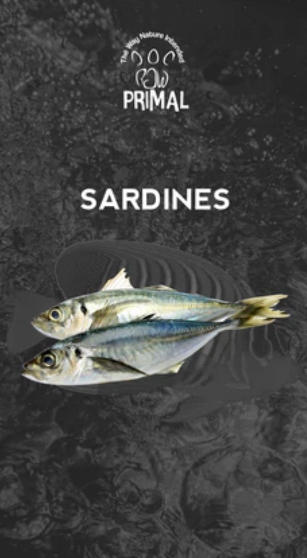 Sardines 500g