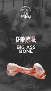 Big Ass Femur Bone